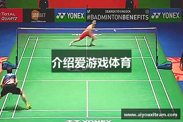 介绍爱游戏体育