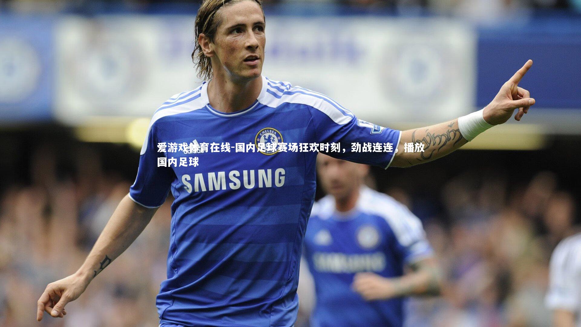 国内足球赛场狂欢时刻，劲战连连，播放国内足球